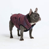 Veste imperméable WarmShield - Cosmique