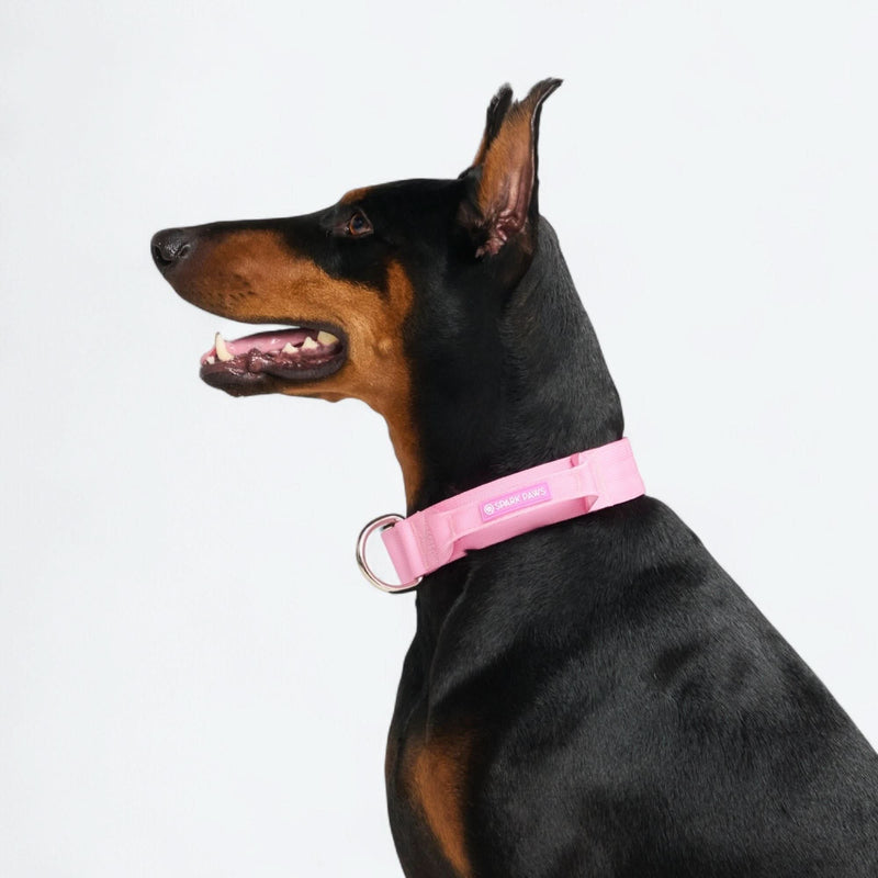Collier de contrôle confort - Rose