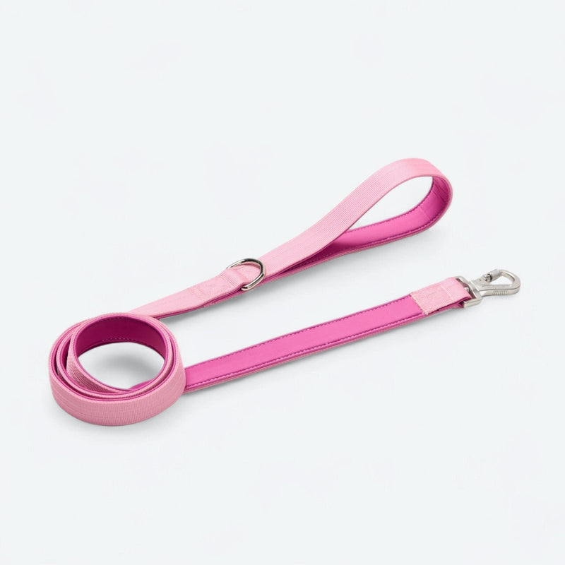 Collier de contrôle confort - Rose