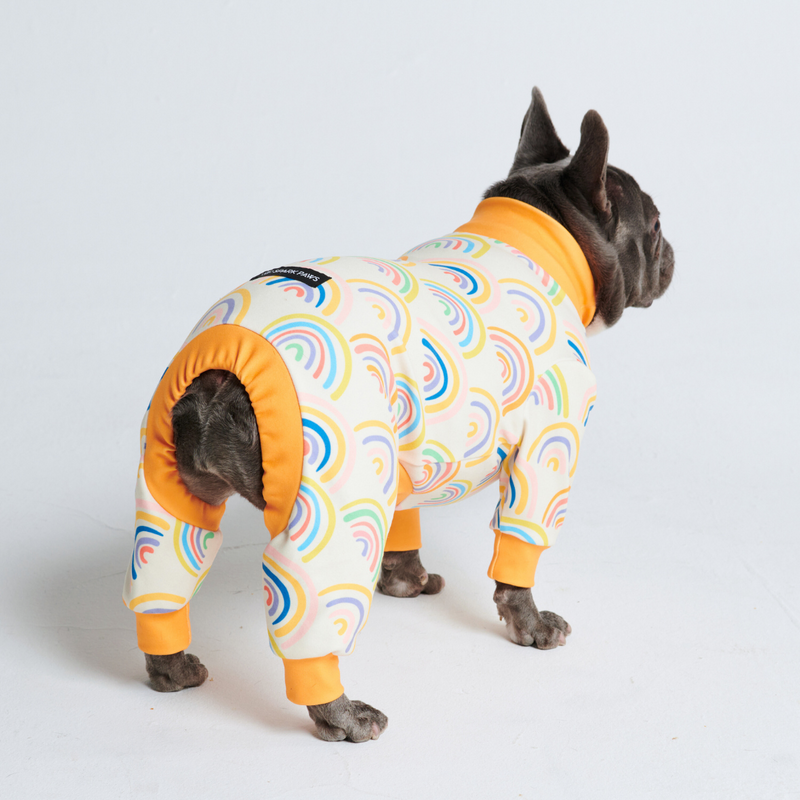 Pyjama pour chien - Arcs-en-ciel