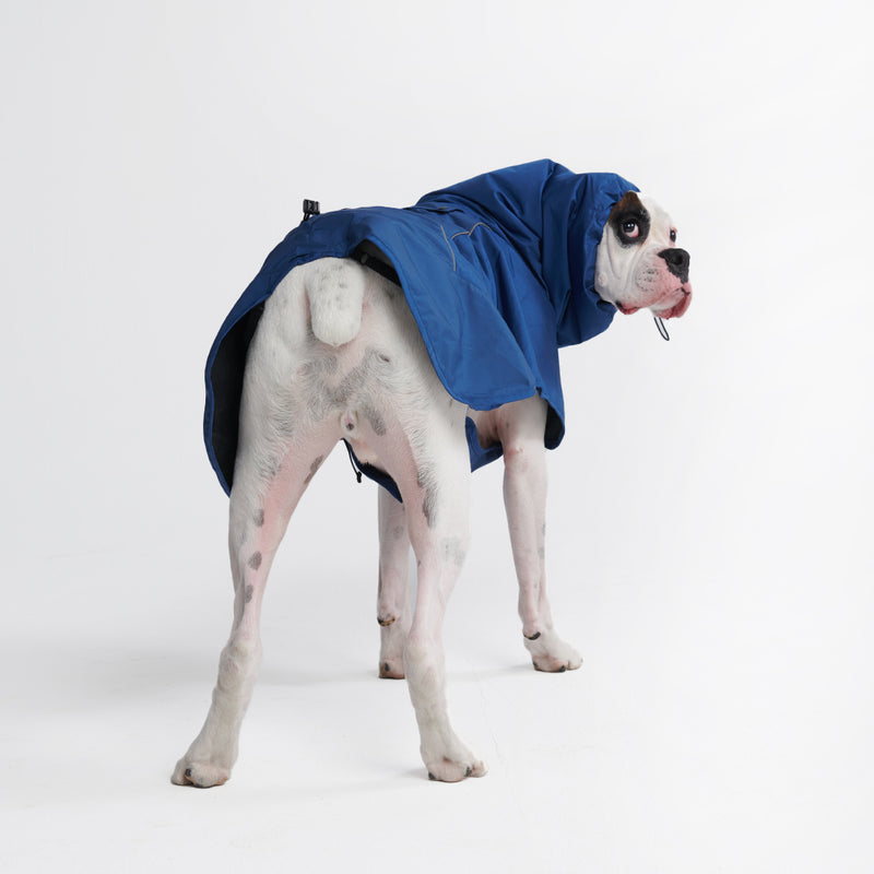 Breatheshield™️ Imperméable pour chien - Bleu royal