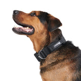 Collier tactique pour chien - Noir