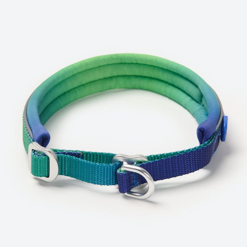 Lime Wave Martingale Collar||size:A,B