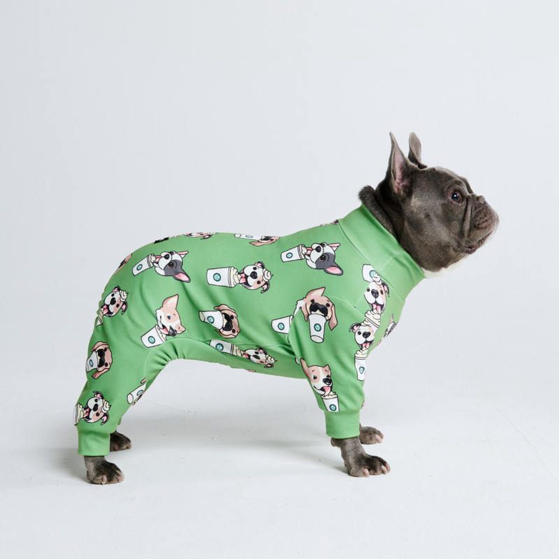 Pyjama pour chien adulte hotsell