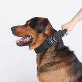 Ensemble de colliers tactiques pour chien - Noir