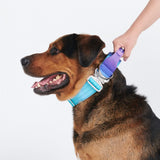 Collier tactique pour chien - Rétro des années 90