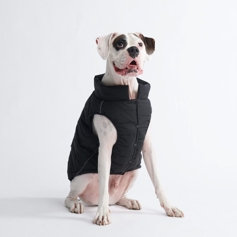 Veste imperméable WarmShield™ - Noir