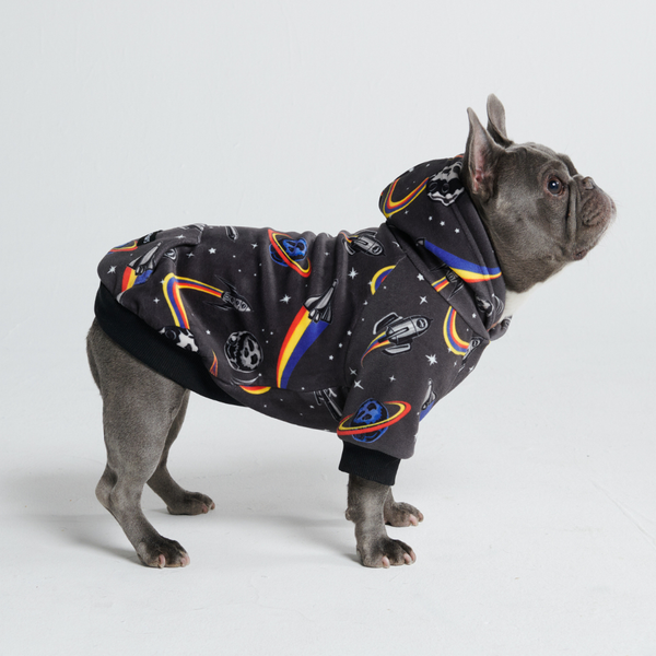 Pull à Capuche en velours Pour Chien - Espace