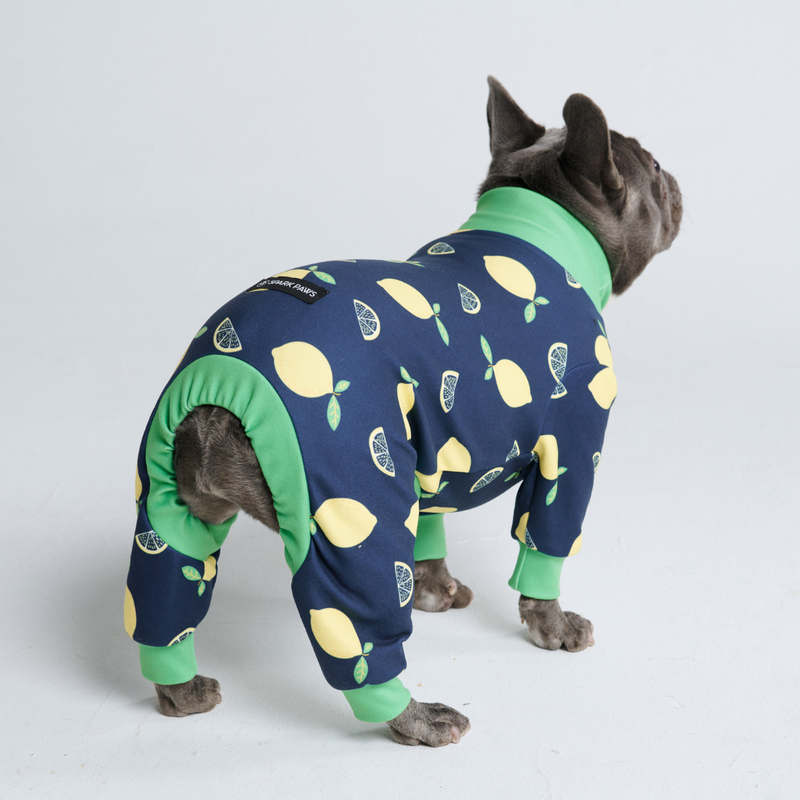 Pyjama pour chien - Citron