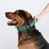 Ensemble de colliers tactiques pour chien - Vert armée