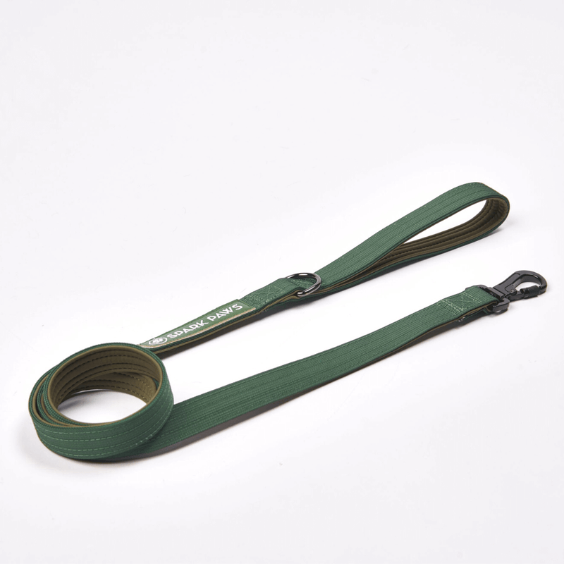 Ensemble Laisse et Porte-Sac à Crottes - Vert armée