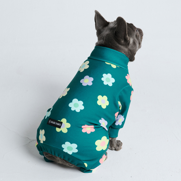 Pyjama pour chien - Fleurs Vert