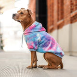 Pull à Capuche en velours Pour Chien - Rose et Bleu