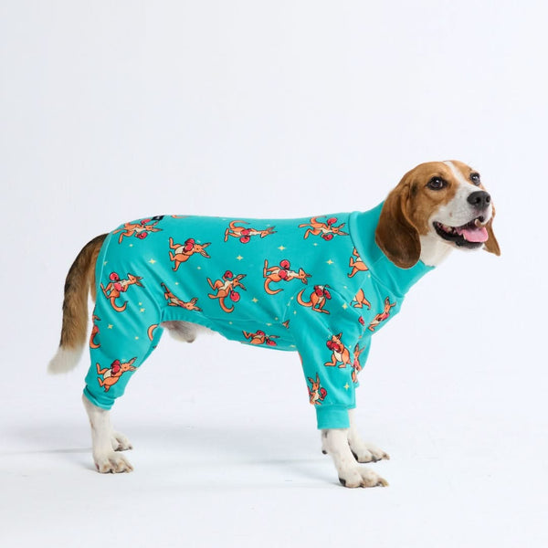 Pyjama pour Chien - Kangourou Boxe - Bleu