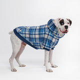 Plaid Dog Hoodie
