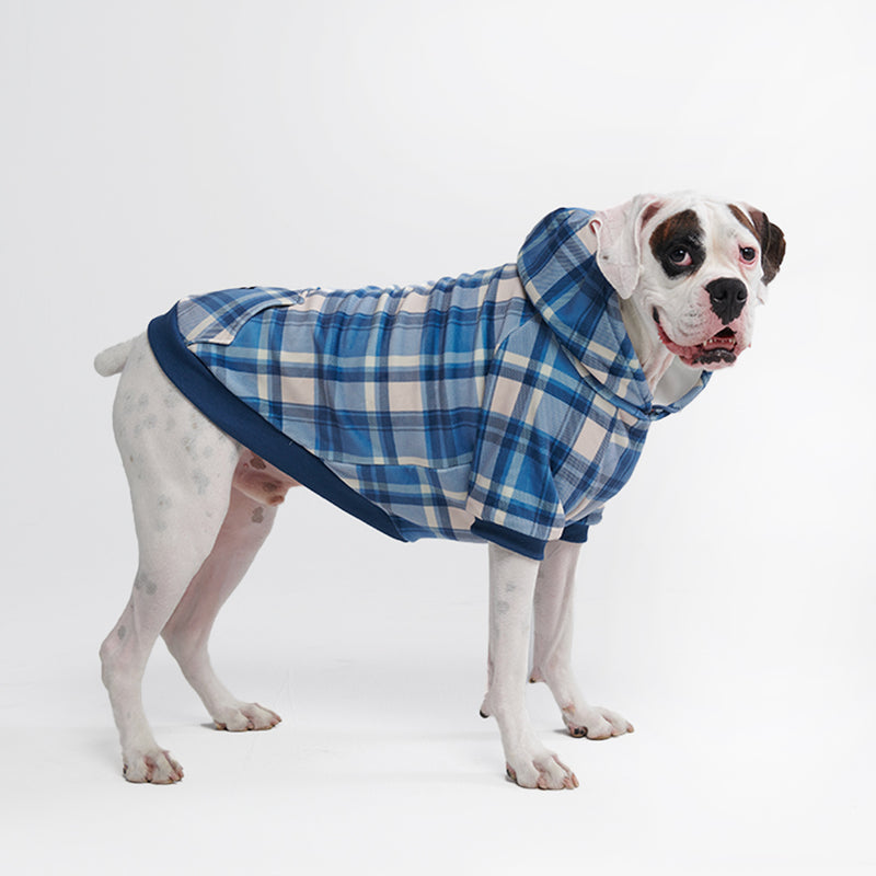 Plaid Dog Hoodie