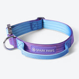 Ensemble de colliers tactiques pour chien - Rétro des années 90