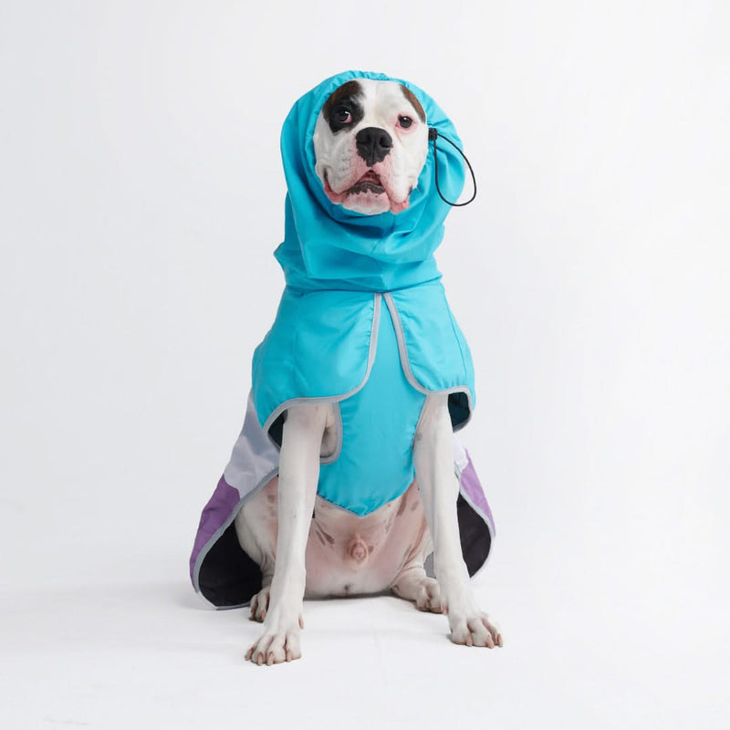 Breatheshield™ Imperméable pour chien - Sarcelle Blanc Violet