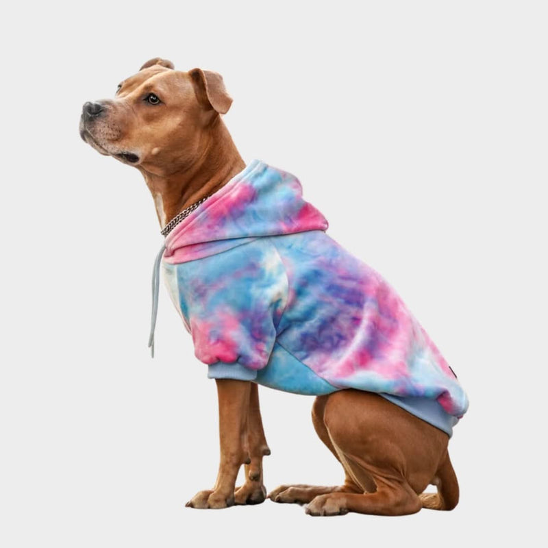 Pull à Capuche en velours Pour Chien - Rose et Bleu