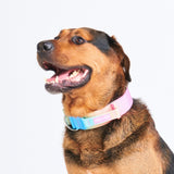 Collier tactique pour chien - Glaçage pastel