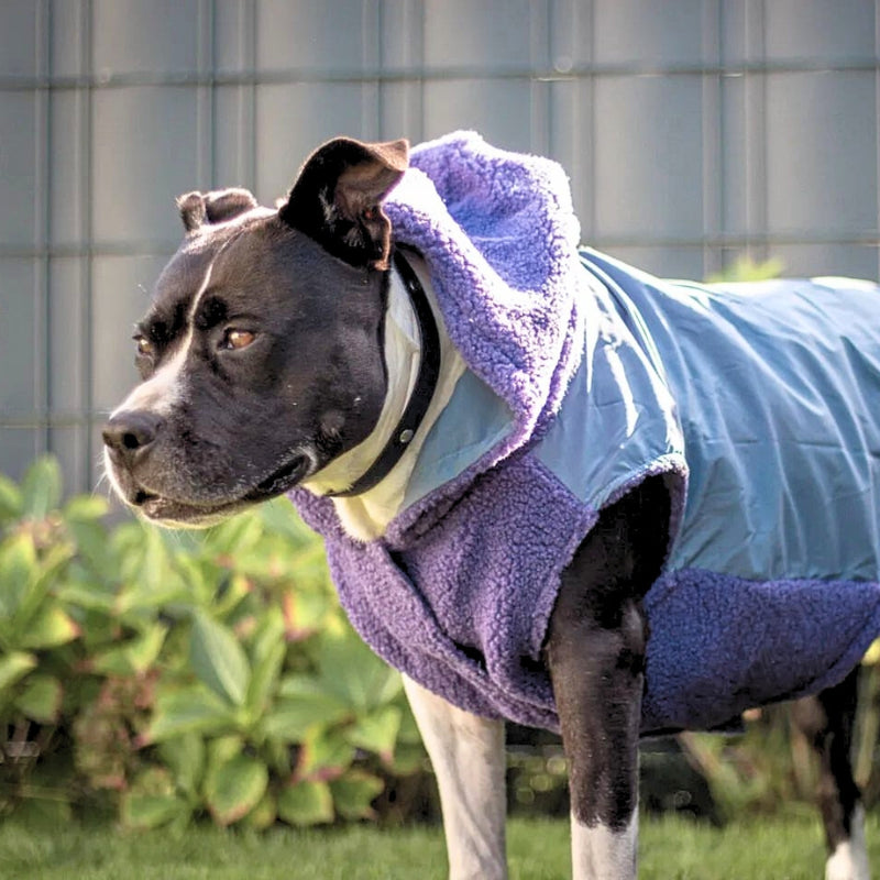 Veste réversible - Violet et bleu