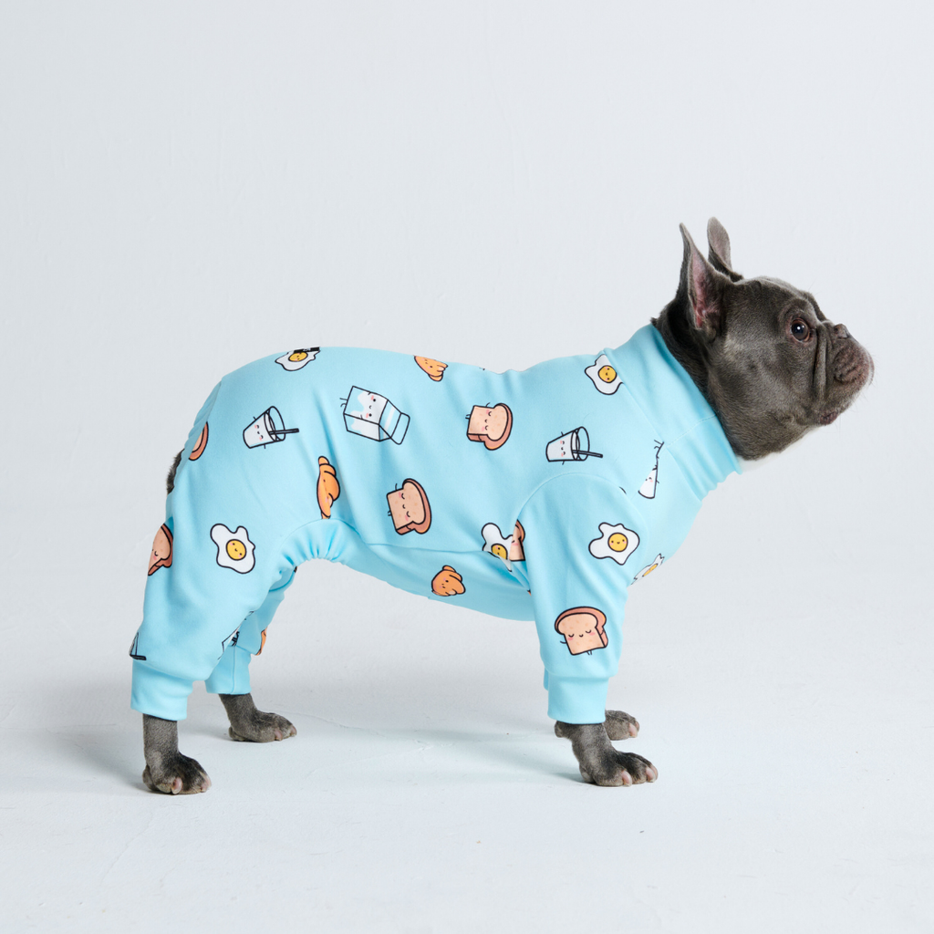 Pyjama pour chien hotsell
