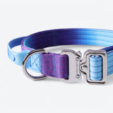 Ensemble de colliers tactiques pour chien - Rétro des années 90