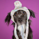 Chapeau d'hiver en tricot pour chiens