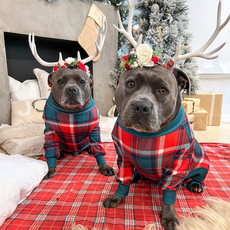 Pyjama pour chien - Plaid vert et rouge