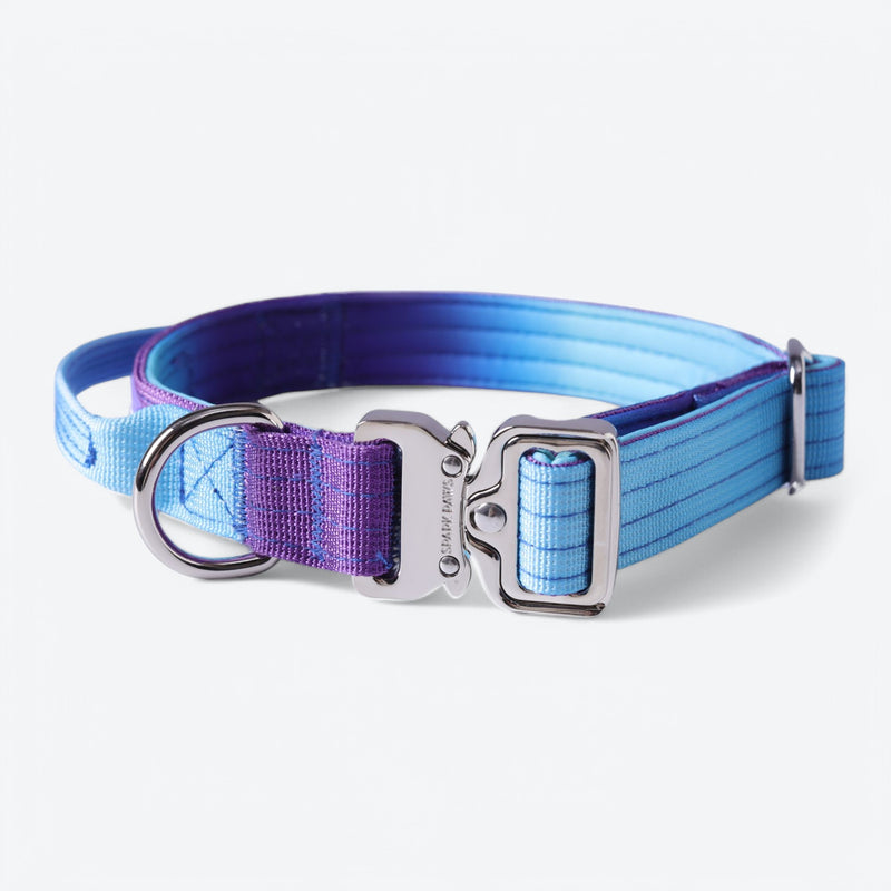 Ensemble de colliers tactiques pour chien - Rétro des années 90
