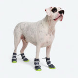 Bottes pour chien Flex Shell résistantes à l'eau - Camouflage Gris