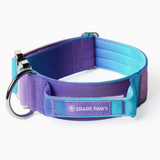 Collier tactique pour chien - Rétro des années 90