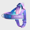 Dog Harness