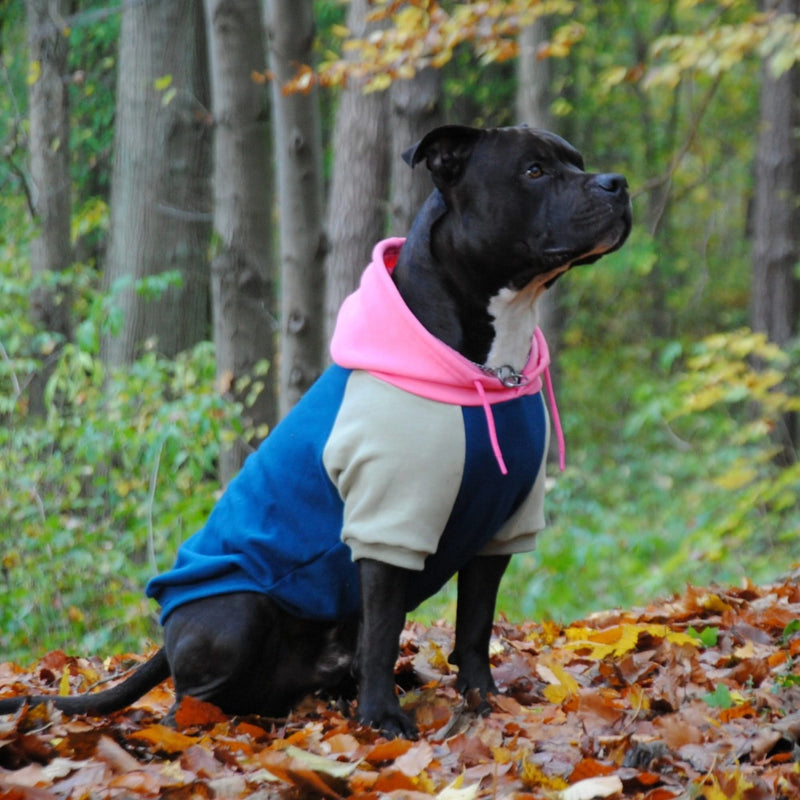 Pull à Capuche Pour Chien - Récréation