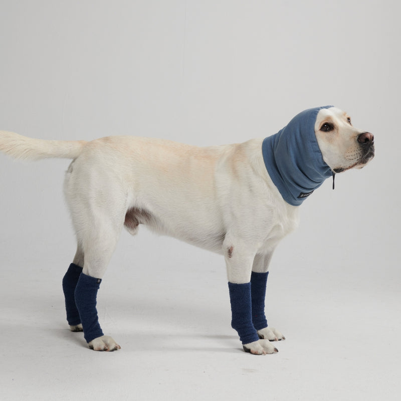 Protecteur d'oreilles anti-anxiété pour chien - Bleu Marine