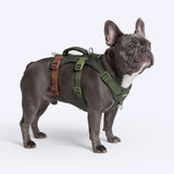 Green Brown Escape Proof||size:2