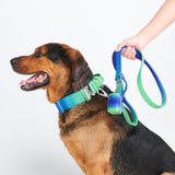 Ensemble de colliers tactiques pour chien - Vague de citron vert