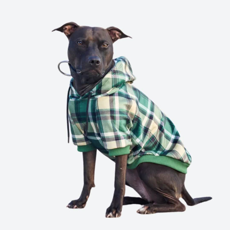 Pull à Capuche en velours Pour Chien - Carreaux Vert