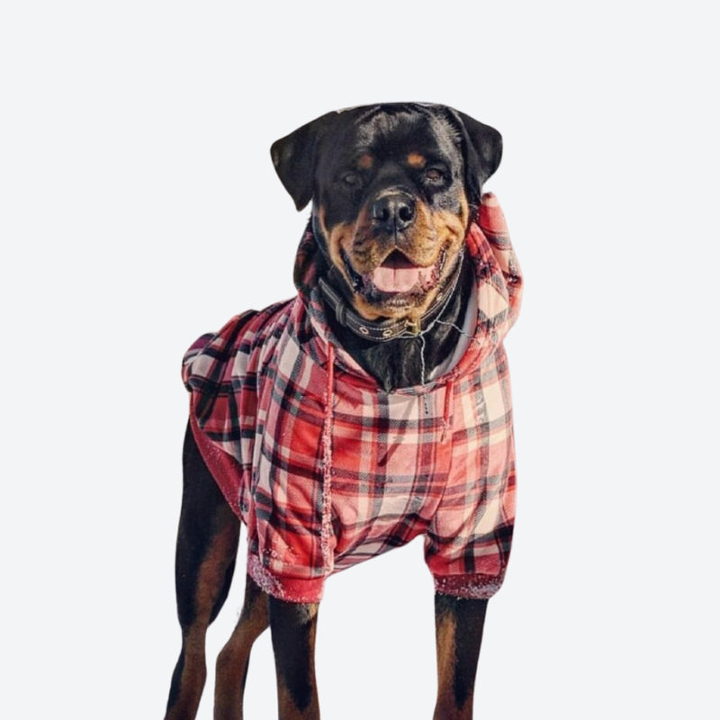 Pull à Capuche en velours Pour Chien - Carreaux Rouge