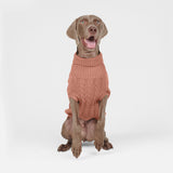 Pull en tricot pour chien - Marron