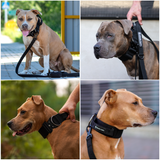 Collier tactique pour chien - Noir