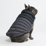 Black PuffShield Jacket||size:L,XL