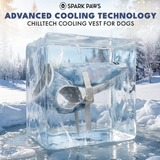 Ice Blue Snow Cone||size:S,M,L,XL,2XL,3XL,4XL,5XL