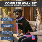Snow Cone Collar