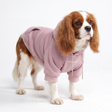 Pull à Capuche Essentiel Pour Chien - Taupe Violet