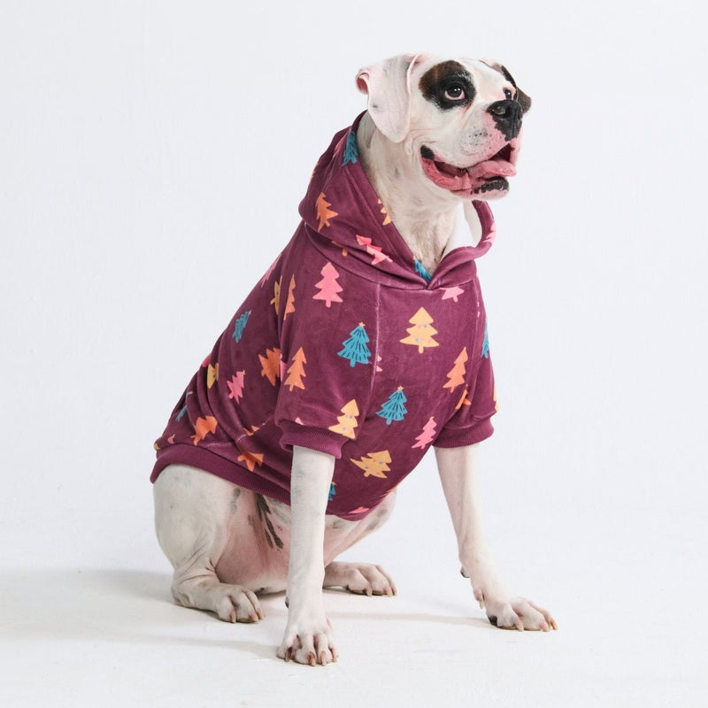 Sweat à capuche pour chien (velours doux)