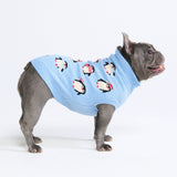 Pull pour chien – Pingouin