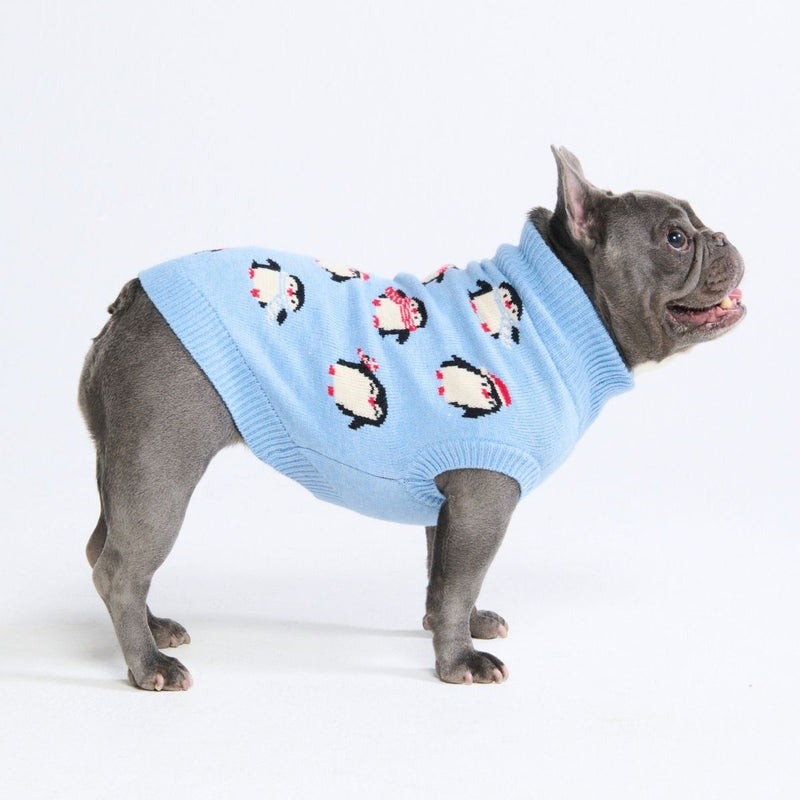 Pull pour chien – Pingouin