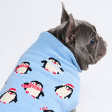 Pull pour chien – Pingouin