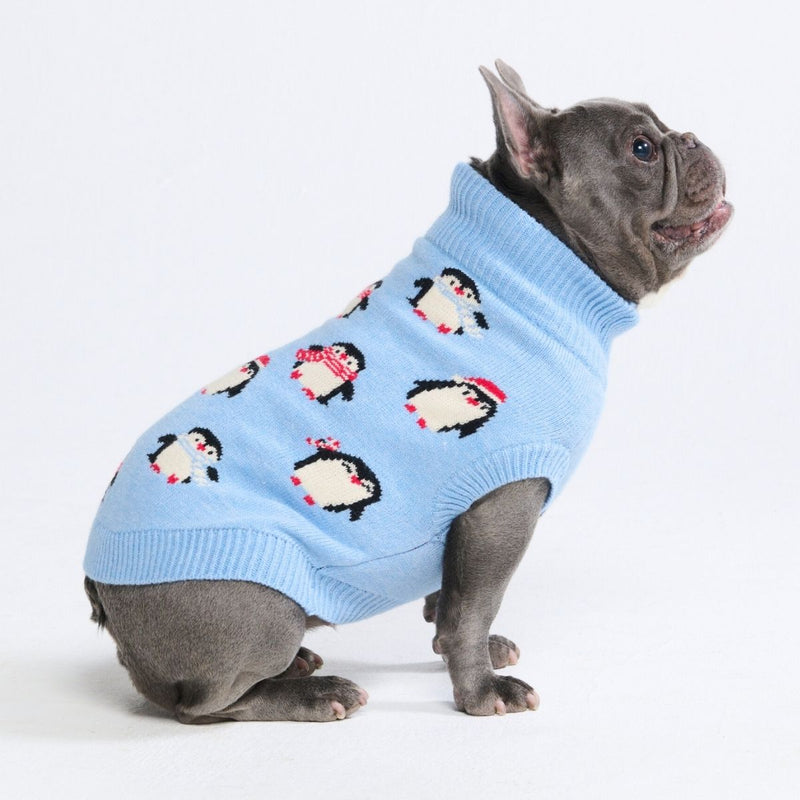 Pull pour chien – Pingouin